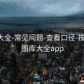 图库大全-常见问题-查看口径-按期号，图库大全app